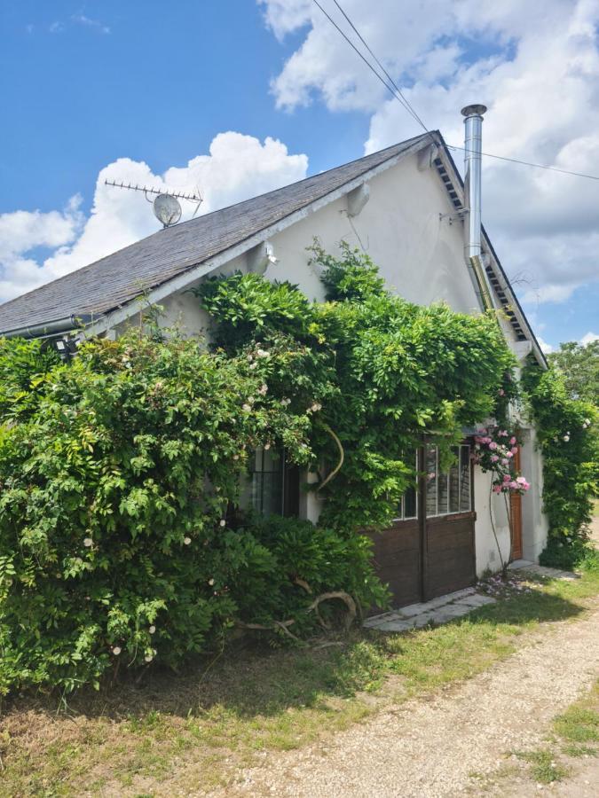 "Gite Les Glycines" Linge Inclus Proche Centre-Ville Blois Exteriör bild